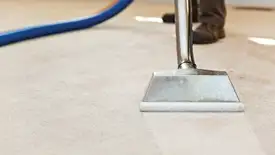 Carpet cleaning wand head gliding over a light carpet during hot-water extraction, Ann Arbor, MI.