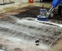 Professional rug cleaning with a rotary floor machine and shampoo foam, deep-cleaning an area rug, in Ann Arbor, MI.