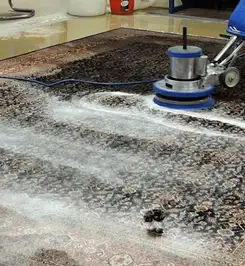 Professional rug cleaning with a rotary floor machine and shampoo foam, deep-cleaning an area rug Ann Arbor, MI.
